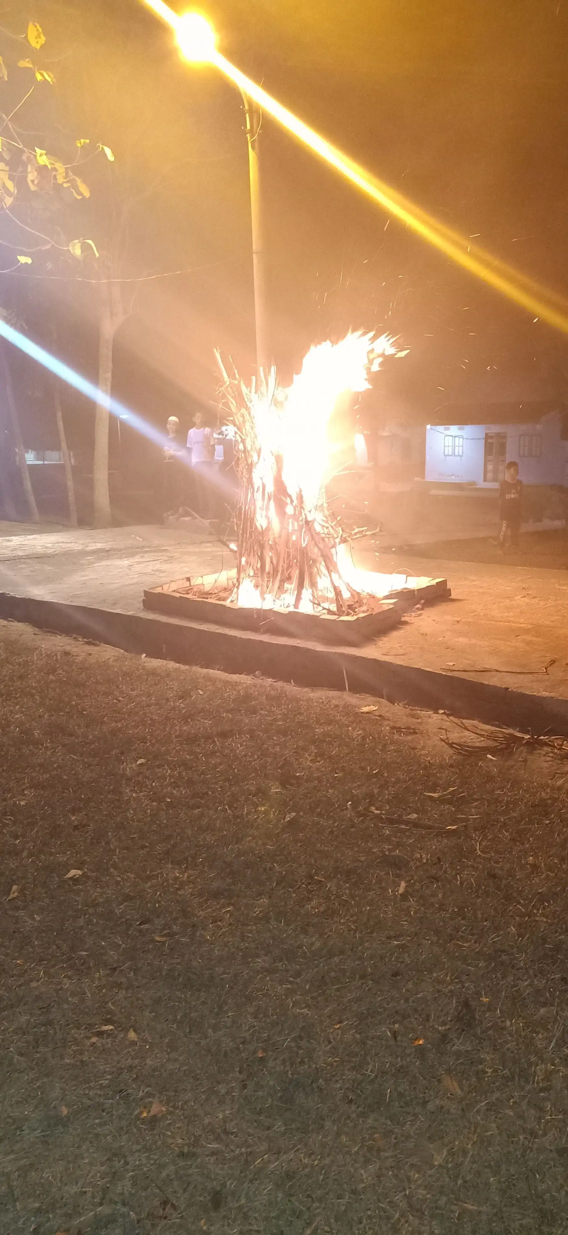 Ekskul Pramuka 41
